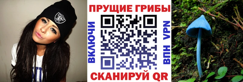 блэк спрут сайт  Белая Калитва  Псилоцибиновые грибы Psilocybe 
